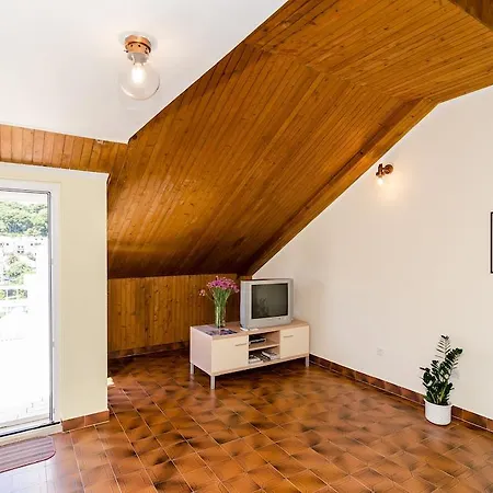 Vican Apartment *